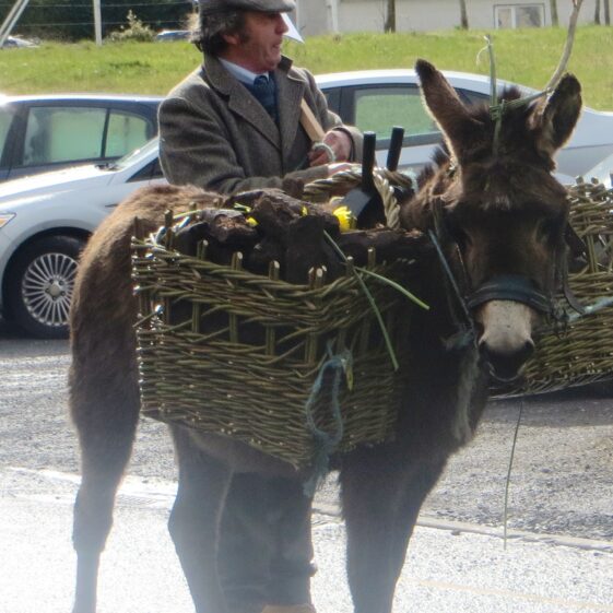 St. Patrick's Day, 2013 St. Patrick's Day in Killererin