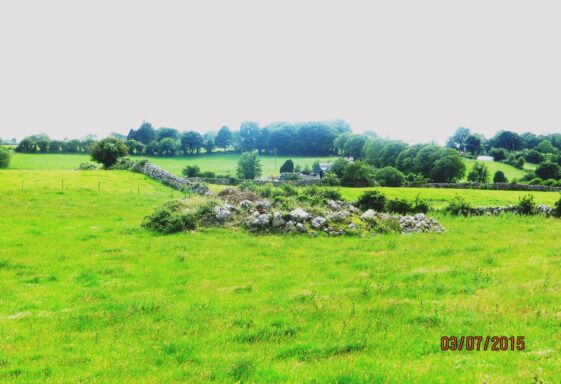 Ardawarry - Ringfort