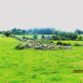 Ardawarry - Ringfort