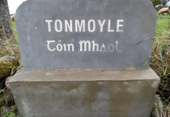 Tonemoyle