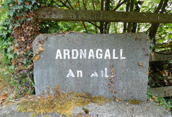 Ardnagall