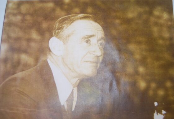 M. J. Molloy