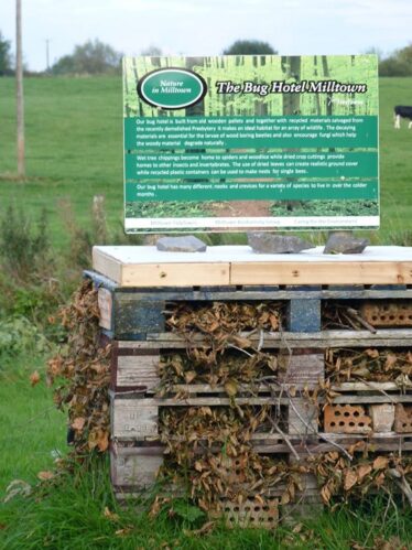The Bug Hotel - Collection of palettes with twigs, branches and broken bricks, making a natural habitat for wildlife