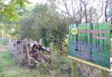 Action Plan for Nature