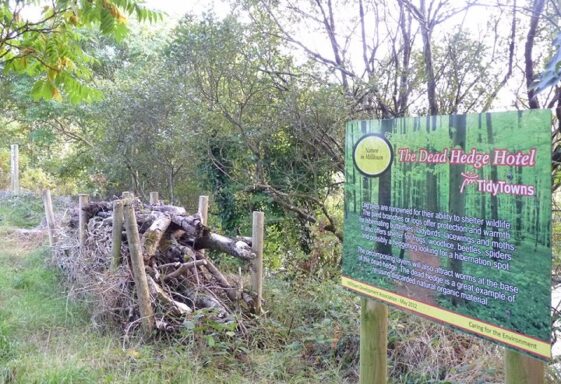Action Plan for Nature