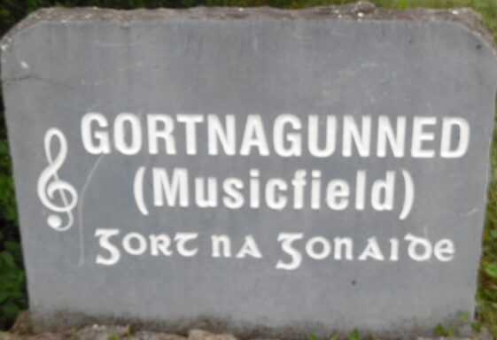 Gortnagunned