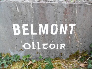 Belmont Townland Stone | Milltown Heritage Group