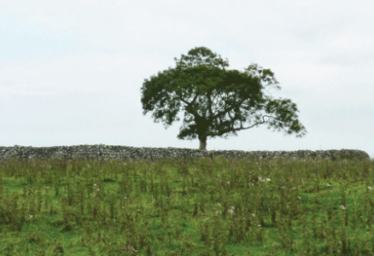 Belmont Hillfort