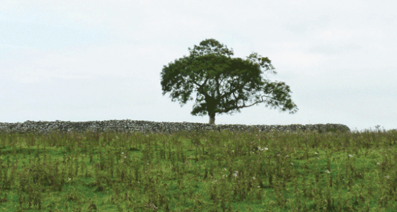Belmont Hillfort