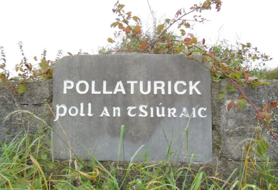 Pollaturick