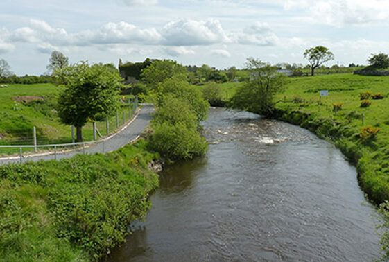 The River Clare: A Lifeline of Culture, Nature, and Heritage
