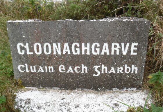 Cloonaghgarve Monuments
