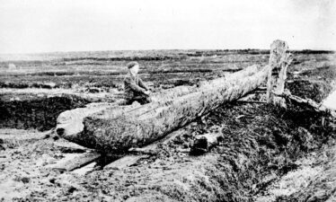 Patrick Coen discovered the log boat in 1902