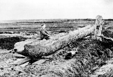 The Lurgan Canoe