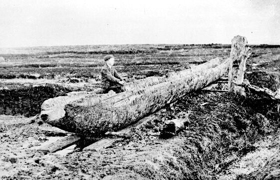 The Lurgan Canoe