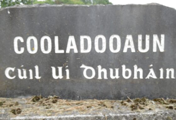 Cooladooaun Monuments