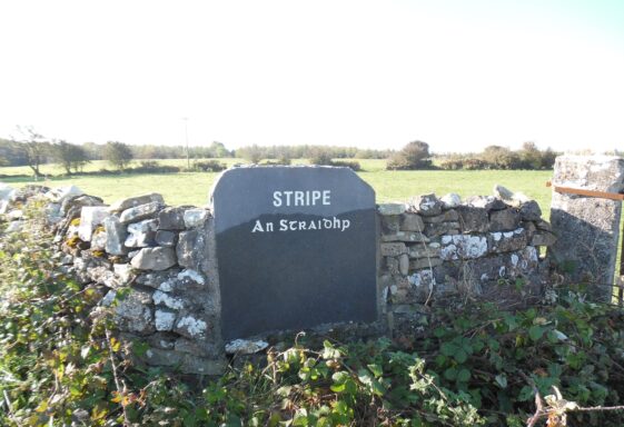 Stripe North