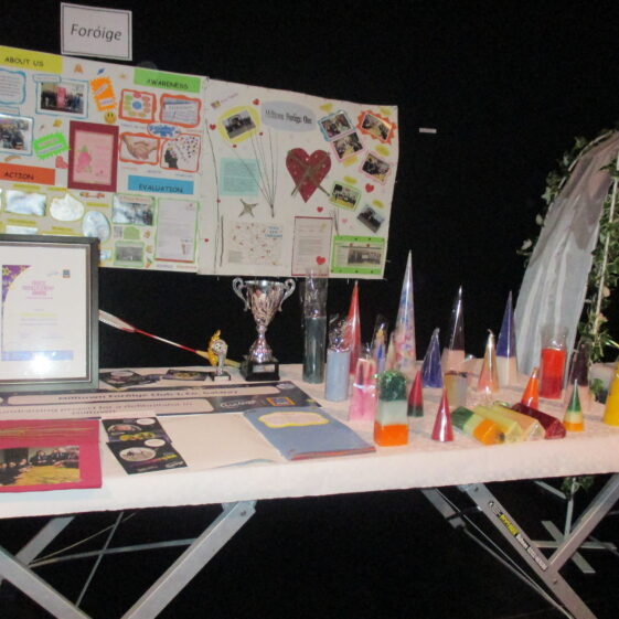 Foroige.        Candles by Shelia Burke