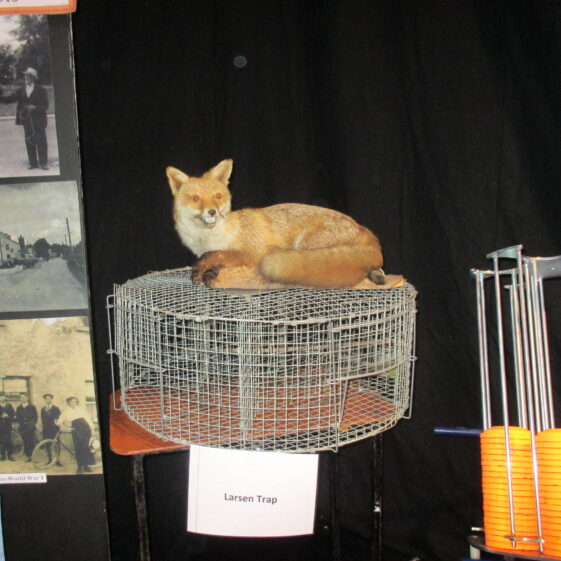 Larsen Trap
