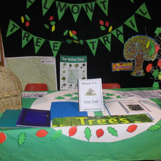 Belmont NS Tree Trail