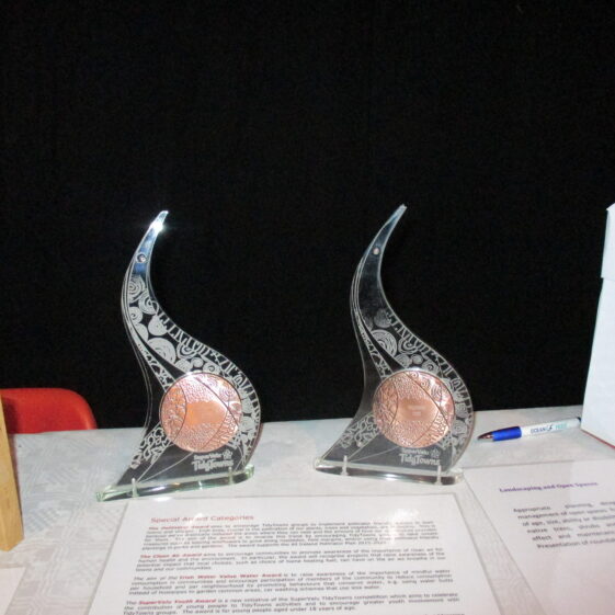 Tidy Towns awards
