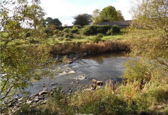 Clare River Walk and Milltown Slí na Sláinte