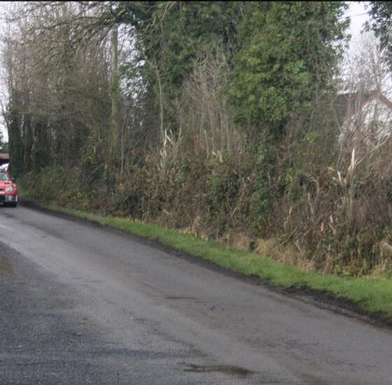 Rally1 Rally Action 05.02.2017