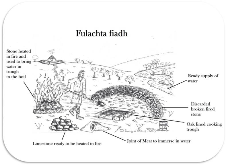 08 Fulachta Fiadh - Milltown Heritage Group
