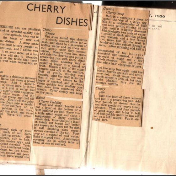 Cherry Dishes
