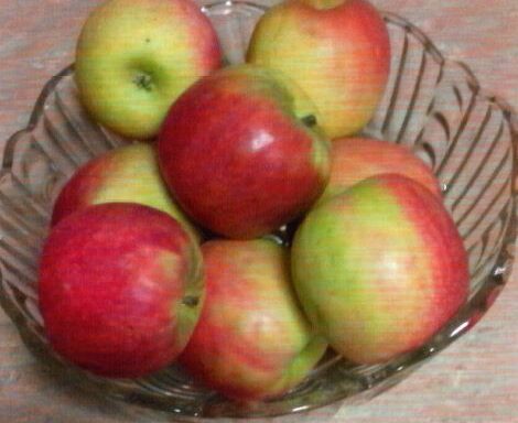 Fruit Bowl