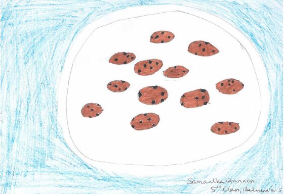 Chocolate Chip Cookies