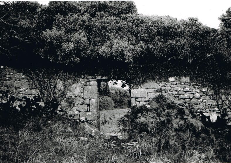 Wall of Father Francis Blake's Garden where he grew peaches  | Photo Courtesy Sean Lydon Photography