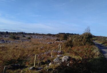 Moycullen's Mini Burren