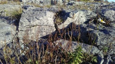 Moycullen's Mini Burren | Photo Credit Hazel Morrison