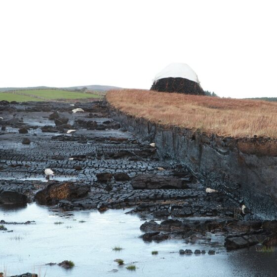 IMG_0440.1 A bog on Slievaneena road | Photo Credit Sean Lydon