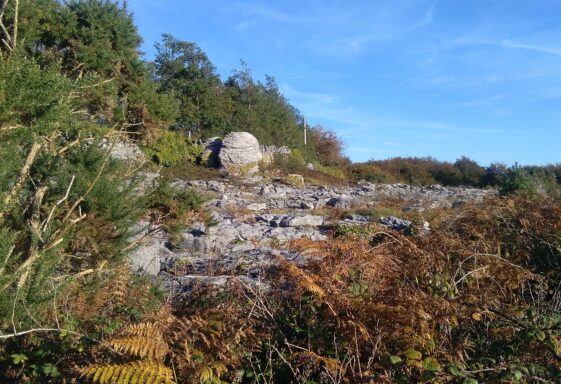 Moycullen's Mini Burren - The Rocks Road - Trail Launch
