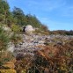 Moycullen's Mini Burren - The Rocks Road - Trail Launch