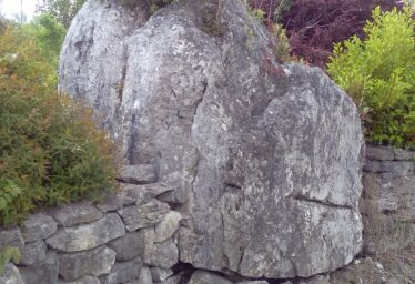 FOSSILS IN FOLKLORE