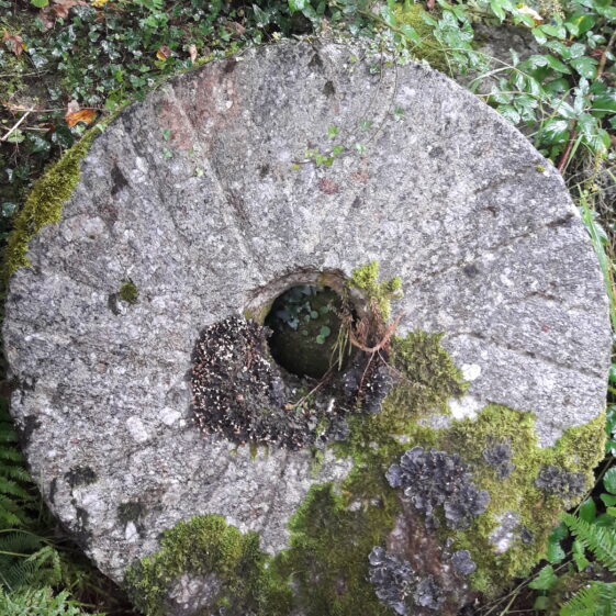 Mill Stone from Madden's Mill, Killagoola Mill Stone from Madden's Mill, Killagoola | Moycullen Historical Society