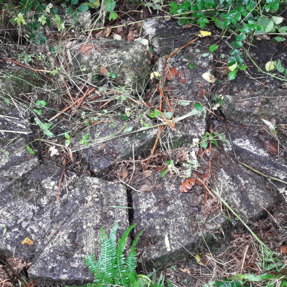 Remains of broken Mill Stone from Madden's Mill Killagoola Remains of broken Mill Stone from Madden's Mill Killagoola | Moycullen Historical Society