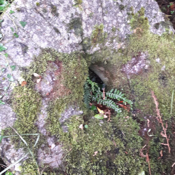 Mill stone from Madden's Mill Killagoola Mill stone from Madden's Mill Killagoola | Moycullen Historical Society
