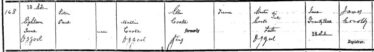 Birth record of Peter Paul Cooke Uggool 1882 | Antoinette Cooke Lydon