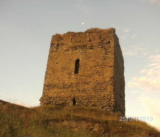 Moylough Castle 2013 | mhs