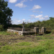 Curraghaun, Windfield Demesne