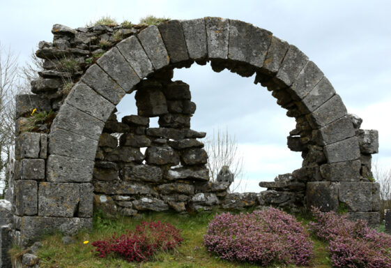 Vicars of Killoscobe
