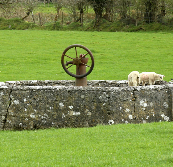 Old water pump at the rear of Flynn's Pub, Menlough | © Gerry Costello