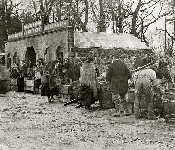 Bannerton's machinery repair shop, Mountbellew, early 1900s.