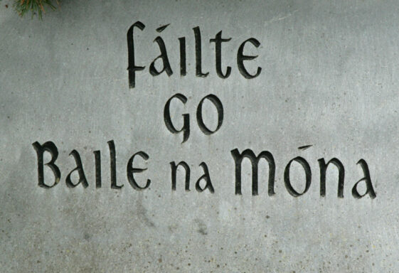 Ballynamona