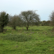 Children's Burial Grounds