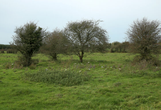 Children's Burial Grounds